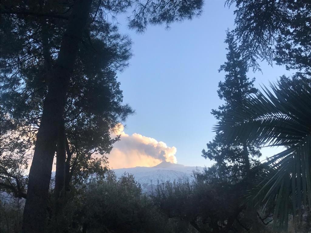 Agriturismo Sole Di Sicilia Randazzo Zewnętrze zdjęcie