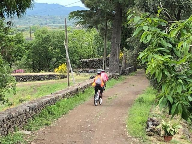 Agriturismo Sole Di Sicilia Randazzo Zewnętrze zdjęcie